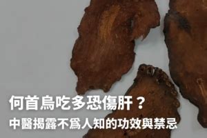 何首烏價錢|何首烏秋冬進補怎麼吃？醫列功效禁忌＋何首烏藥膳做。